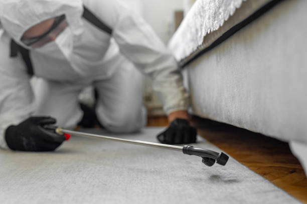 Professional Bed Bug Control technician working in Hobart, OK