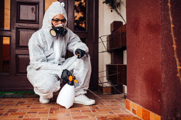Reliable Bed Bug Control contractor in Hobart, OK by Nex Pest Control