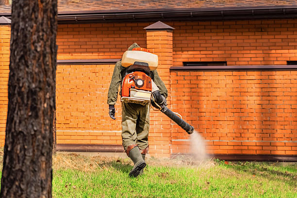 Trusted Ant Control service in Hobart, OK - Nex Pest Control